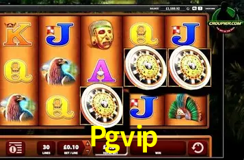 Descubra o Mundo do Cassino Online com Pgvip