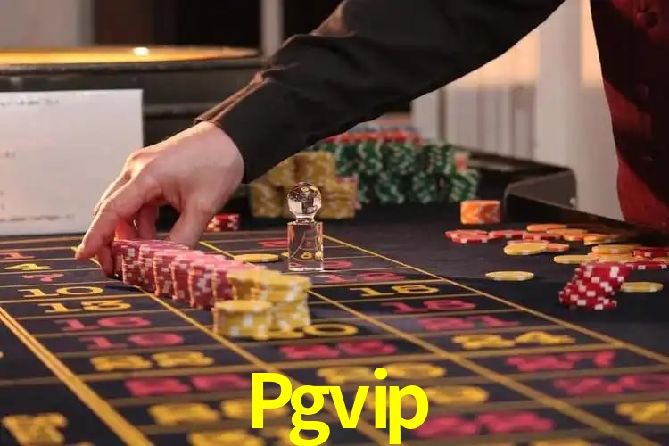 Interface Premium Pgvip